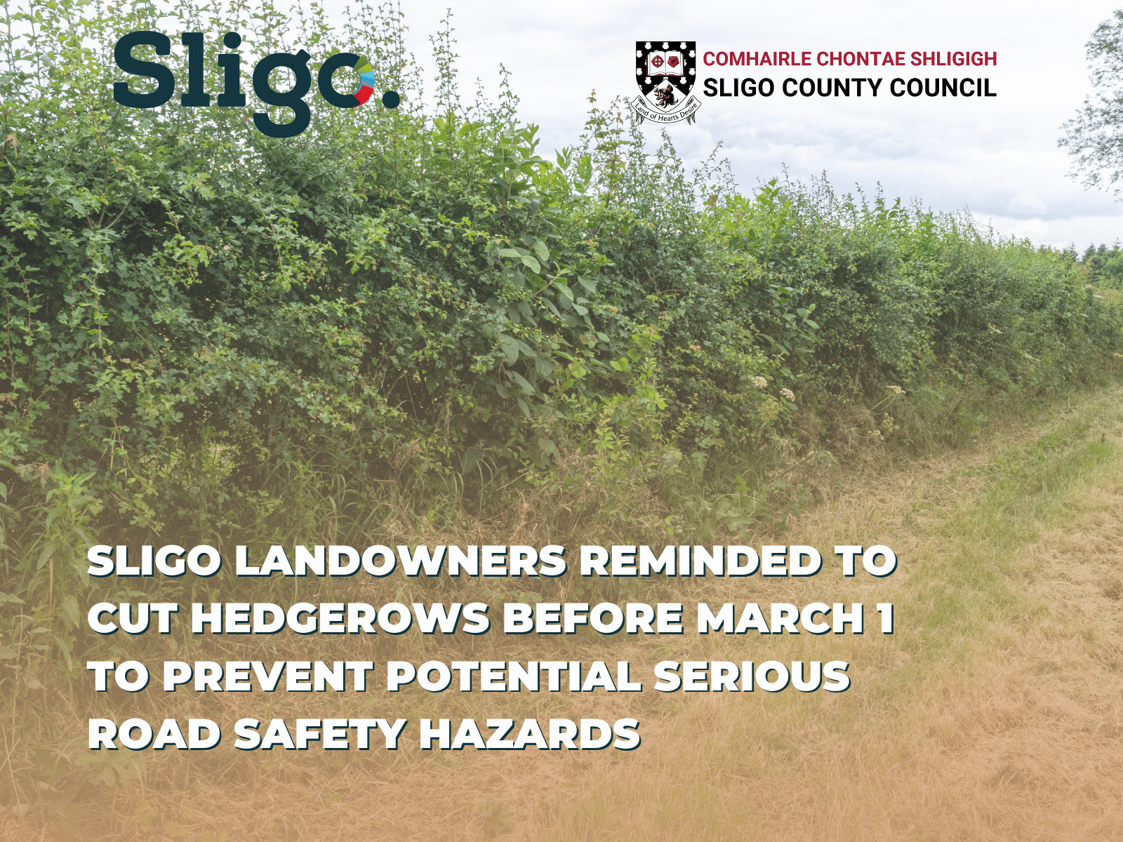 Sligo landowners reminded to cut hedgerows before March 1 to prevent potential serious road safety hazards